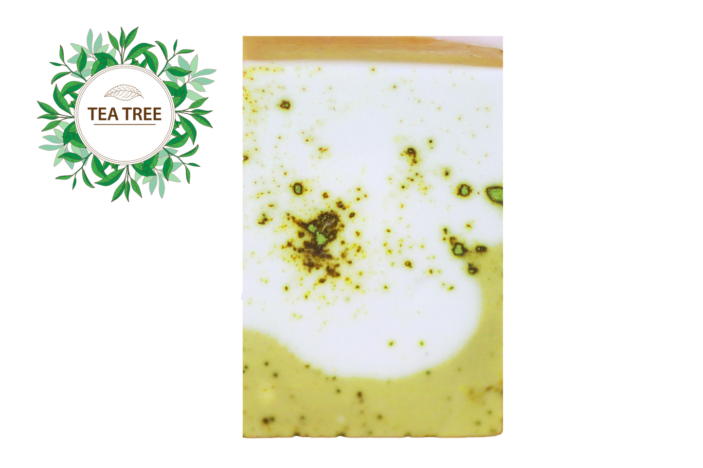 Matcha & Tea Tree Soap | Face & Body Bar | Matcha & Tea Tree Restore | Habbie Beauty Supplies - Habbie Enterprise